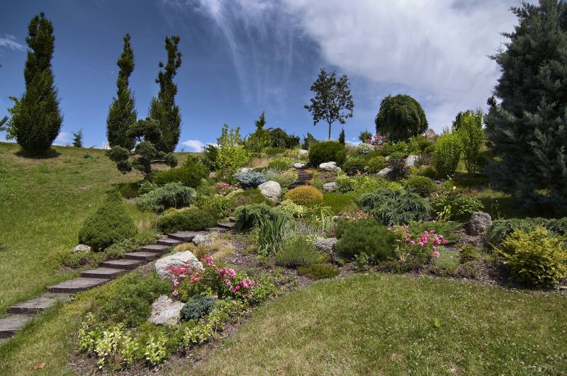 Sloped Yard Landscaping
