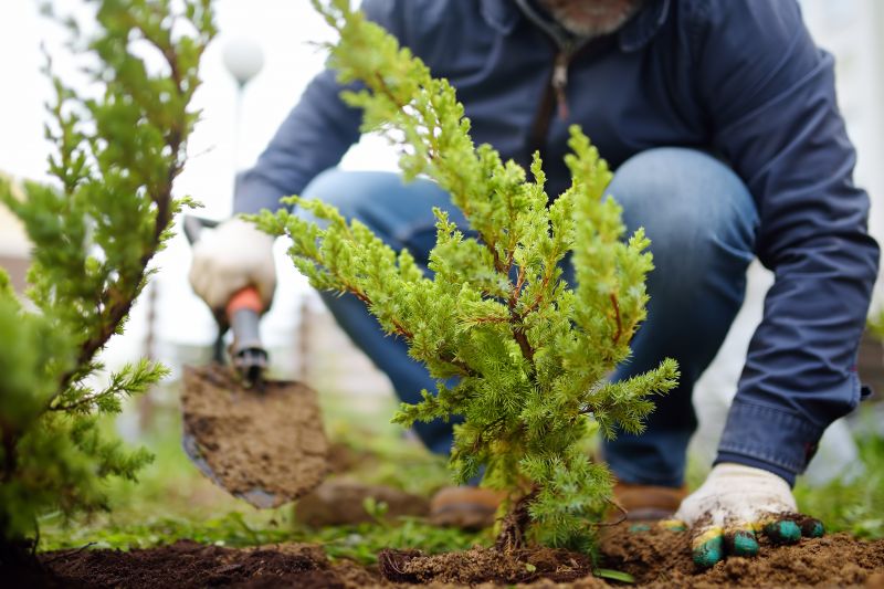 Small Garden Landscaping