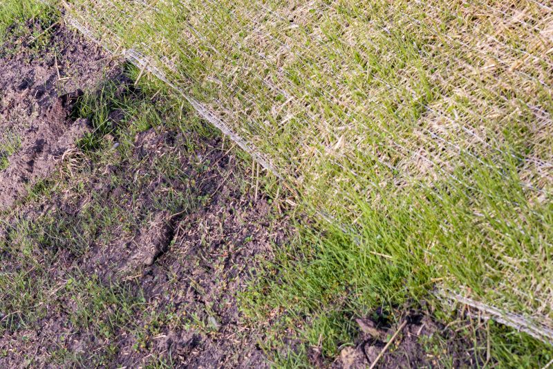 Soil Erosion Repair