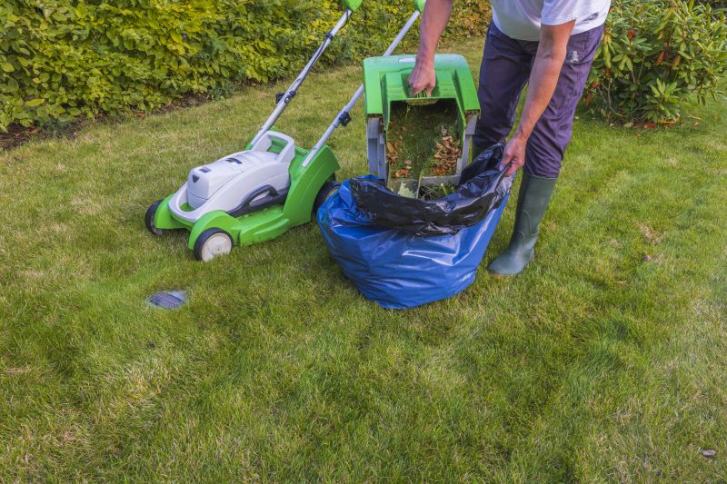 Turf Removal Service