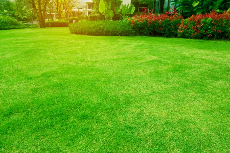 Lawn and Garden Care