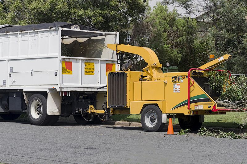 Wood Chips Removal