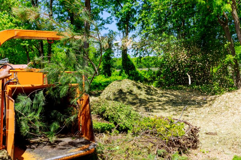 Wood Chips Removal