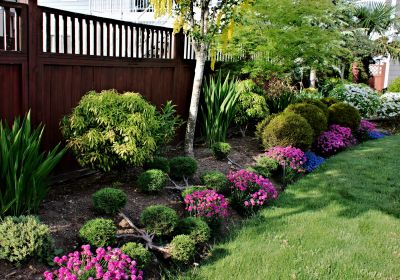 Wood Mulch Installation