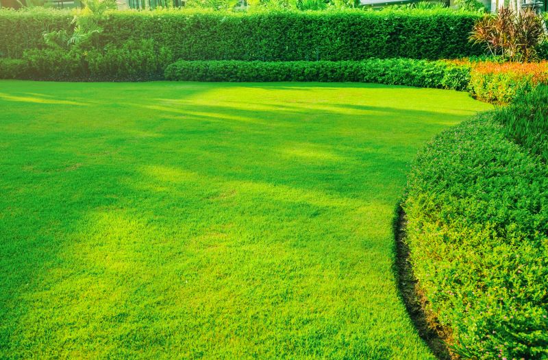 Xeriscape Landscaping