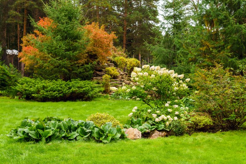 Xeriscaping Service