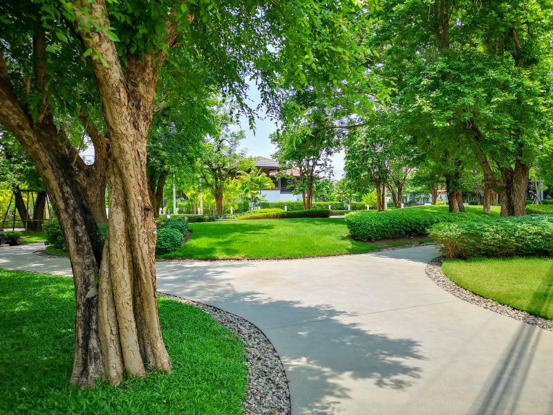 Yard Edging Service