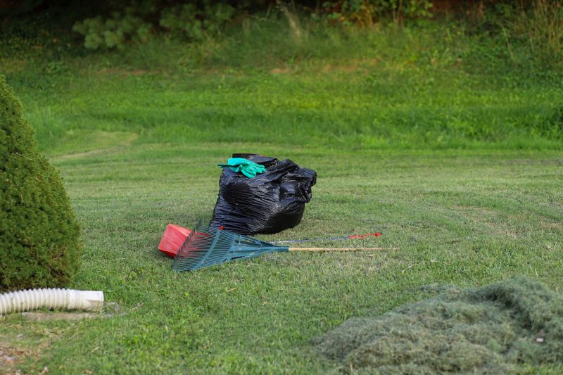 Yard Makeover Service