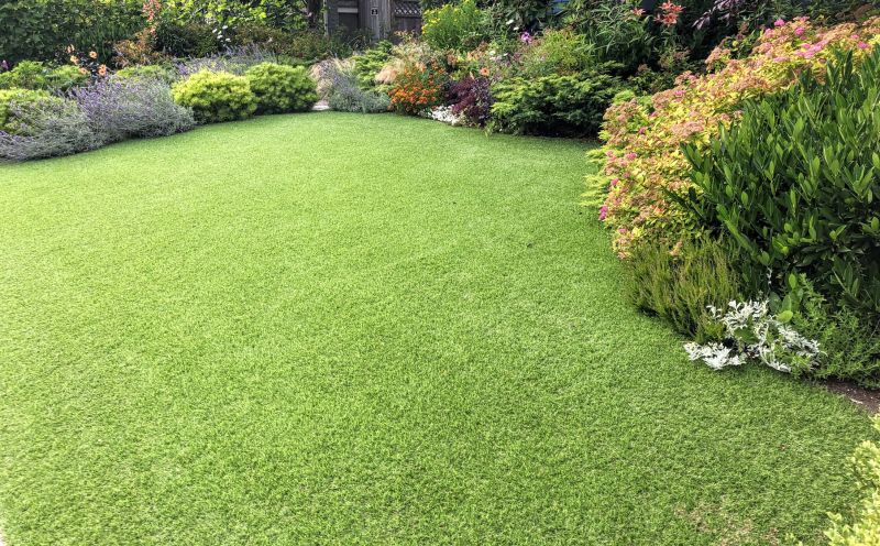 Yard Xeriscaping