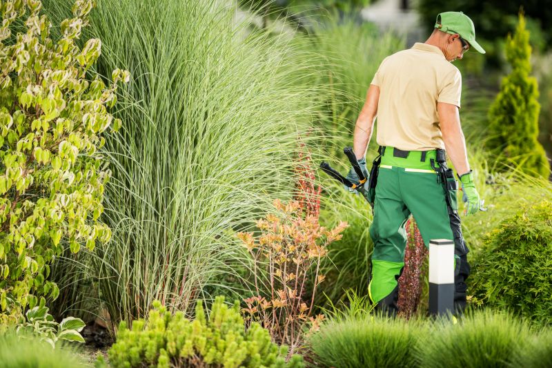 Local Landscaping pros at work