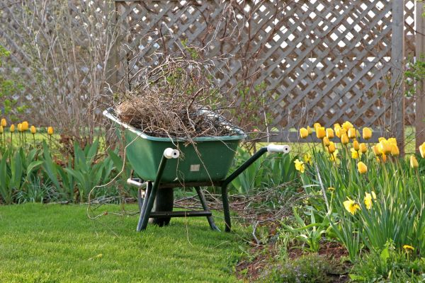 Flower Bed Cleanup Service in Eau Claire