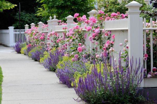 Garden Handyman Service in Eau Claire