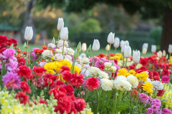 Gardening Service in Eau Claire