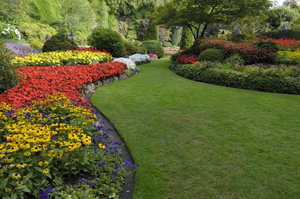 Landscaping Maintenance in Eau Claire