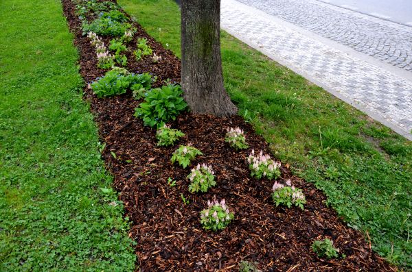 Mulch Replacement Service in Eau Claire