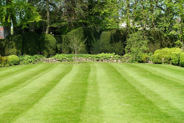 Lawn Renovation in Eau Claire