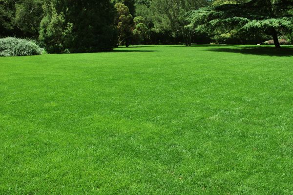 Lawn Landscaping in Eau Claire