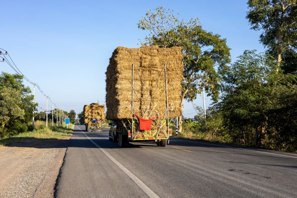 Pine Straw Delivery in Eau Claire