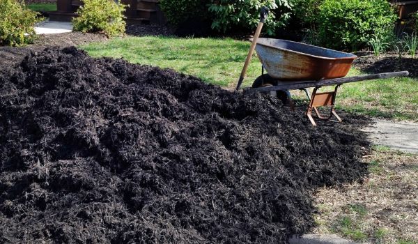 Black Mulch Delivery in Eau Claire