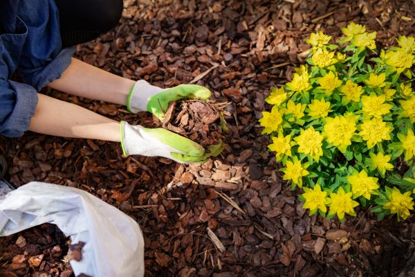 Garden Mulching in Eau Claire