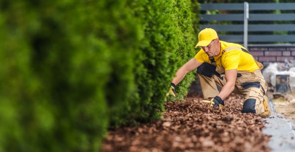 Cypress Mulch Installation in Eau Claire