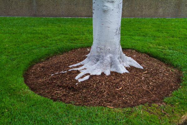 Brown Mulch Installation in Eau Claire
