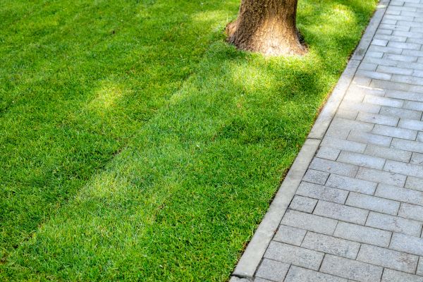 Border Stone Installation in Eau Claire