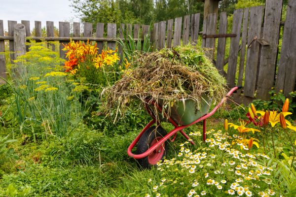 Garden Cleanup Service in Eau Claire