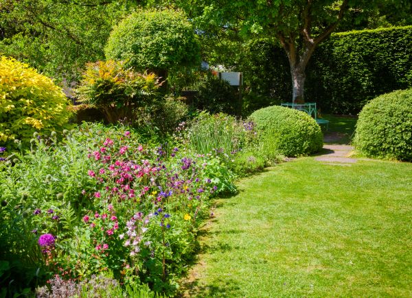 Yard Landscaping Service in Eau Claire