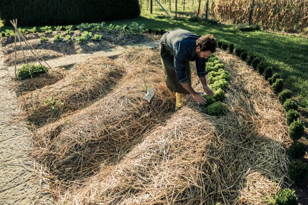 Straw Mulching Service in Eau Claire