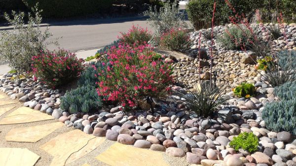 Xeriscape Landscaping in Eau Claire