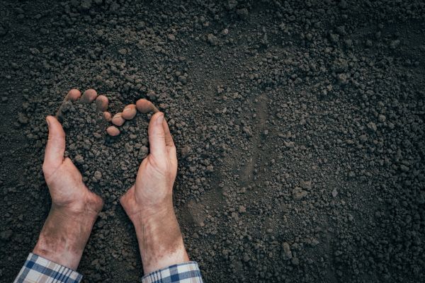 Soil Installation in Eau Claire