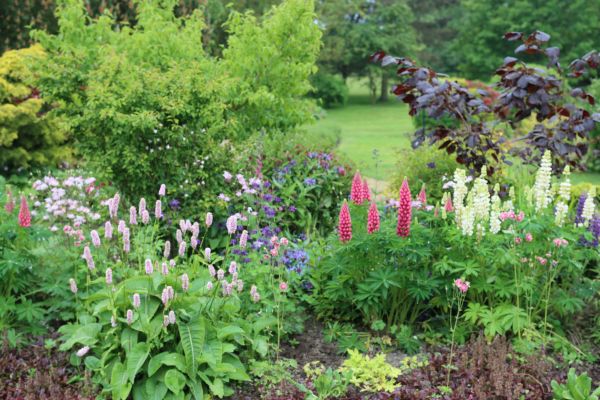 Flower Bed Planting in Eau Claire