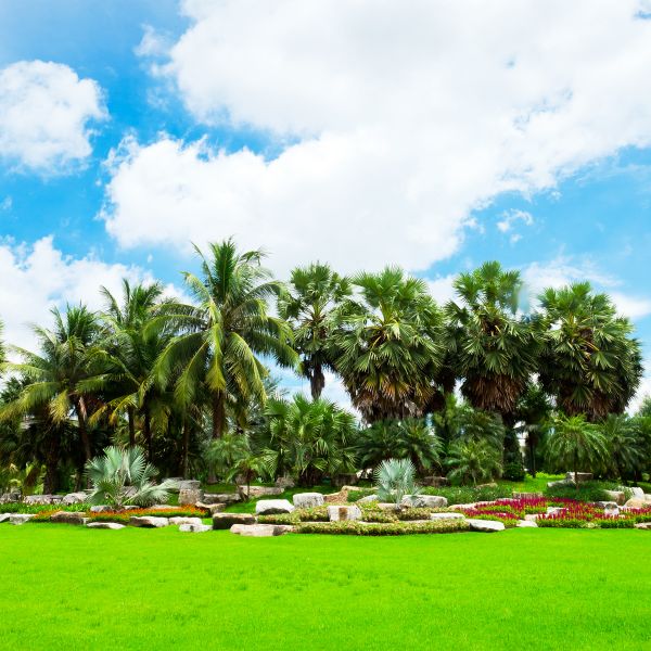 Tropical Landscaping in Eau Claire
