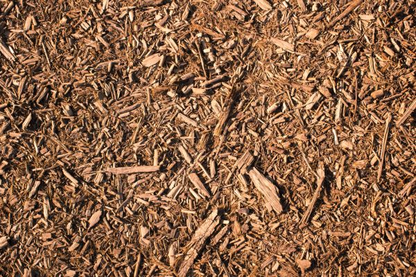 Wood Chips Removal in Eau Claire