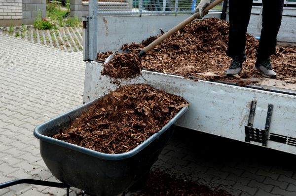 Cedar Mulch Delivery in Eau Claire