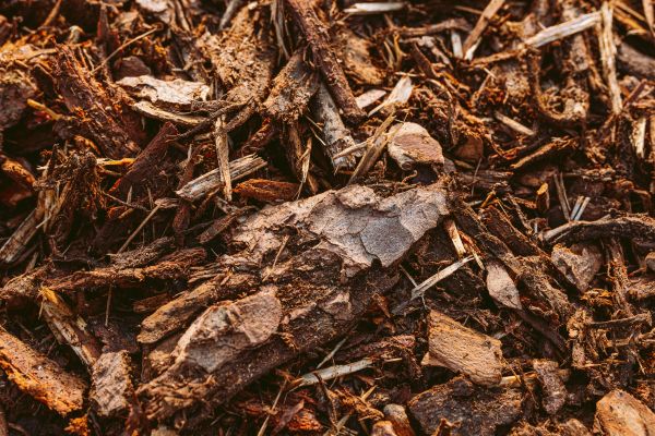 Bark Mulch Delivery in Eau Claire