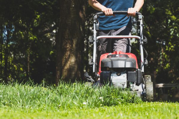 Garden Trimming Service in Eau Claire