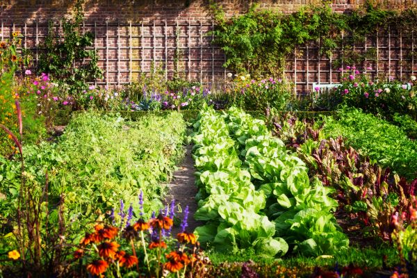 Garden Planting Service in Eau Claire