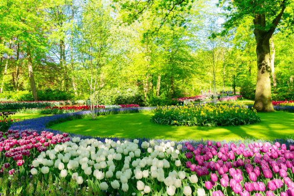 Flower Landscaping in Eau Claire