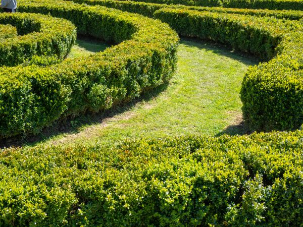 Bush Landscaping in Eau Claire