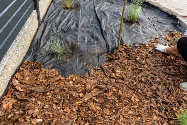 Pine Bark Spreading in Eau Claire