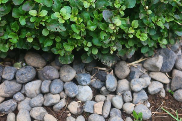 River Stone Installation in Eau Claire