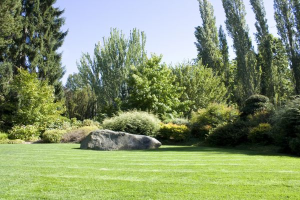 Yard Enlargement in Eau Claire
