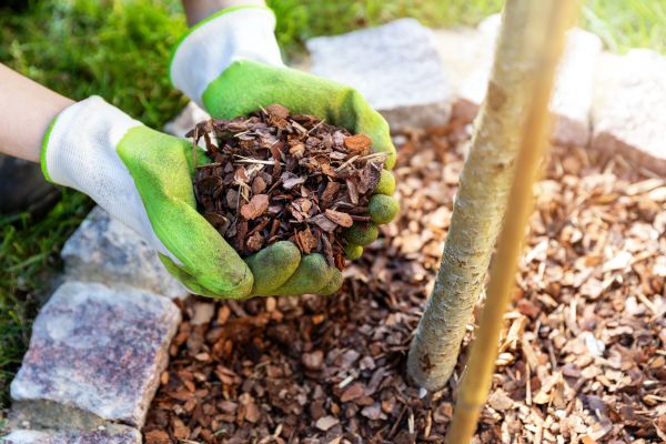 Tree Bark Delivery in Eau Claire