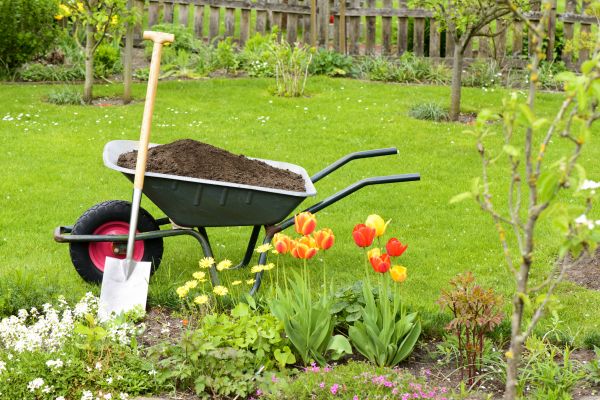 Spring Yard Renovation in Eau Claire