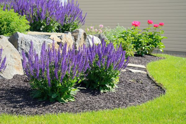 Landscape Planting Service in Eau Claire