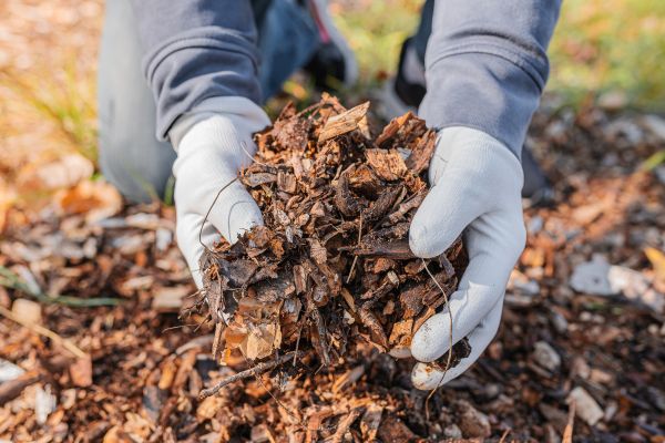 Shredded Mulch Installation in Eau Claire