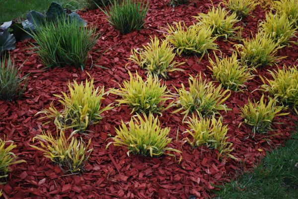 Red Mulch Installation in Eau Claire