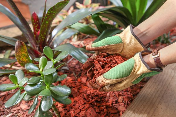 Cedar Mulch Installation in Eau Claire